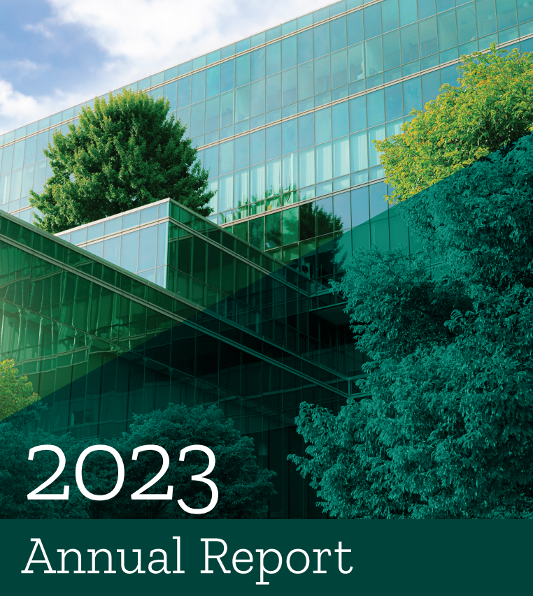 Foundation Report 2023